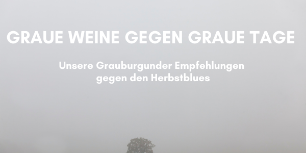 https://www.winestro.shop/DEVOP/images/blog/Grau%20Weine%20gegen%20graues%20Wetter%20.png