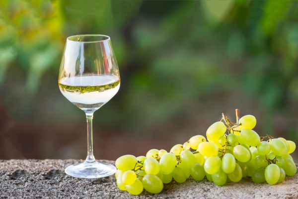 Weinreise durch Portugal