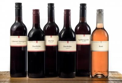 Zum Wein / Sekt: ROTWEIN-PAKET: Probieren Sie 6 ausgewählte Rotweine
