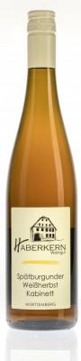 Zum Wein / Sekt: 2021er Erlenbacher Kayberg Spätburgunder Rosé QbA lieblich 0.75l