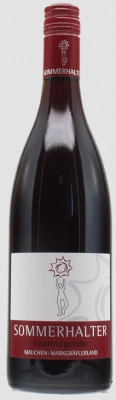 2020er Pinot Noir - Twin Edition feinherb 0.75l