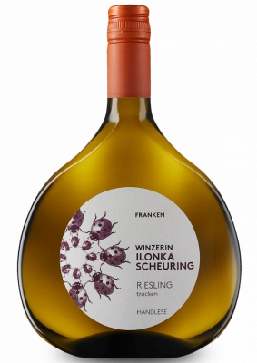 Zum Wein / Sekt: KLASSIK | 2022er Riesling 0.75l
