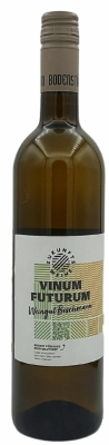 Zum Wein / Sekt: 2021er Cabernet Blanc Bio-Qualitätswein trocken
