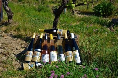Zum Wein / Sekt: Sommerwein-Paket