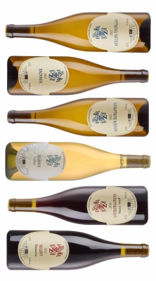 Zum Wein / Sekt: Probierpaket 2: Wein mit Herkunft