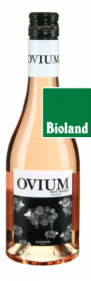 Zum Wein / Sekt: Ovium Rosé Saigner trocken - 0.375 Ltr.