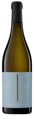 Zum Wein / Sekt: Vigna Madre Nobu 1830 Giannicola Di Carlo Pecorino 2023 Weißwein