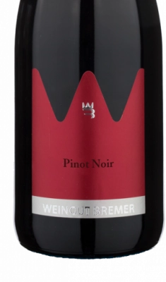 2018er Pfalz Pinot Noir QW trocken 