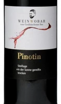 Pinotin 2019 Handlese 0.75 l
