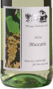 2021er Muscaris Deutscher Qualitätswein halbtrocken 0.75l