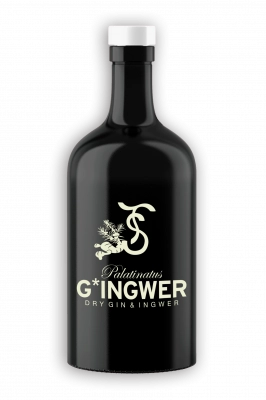 Zum Wein / Sekt: Gin Ingwer 0.5l 46% vol