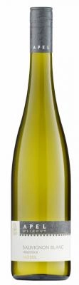 Zum Wein / Sekt: 2022 Sauvignon blanc - trocken