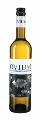 Zum Wein / Sekt: OVIUM Weißburgunder-Chardonnay trocken
