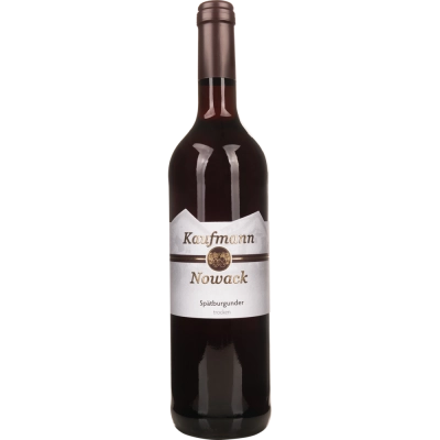 Zum Wein / Sekt: 2020 Mosel Spätburgunder Rotwein Qualitätswein Barrique trocken