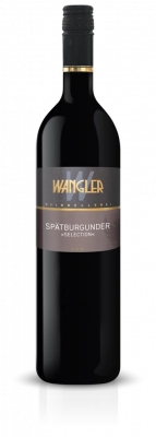 Zum Wein / Sekt: 2022er Spätburgunder -Selection- 0.75 ltr.
