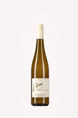 Zum Wein / Sekt: 2022er Sauvignon Blanc QbA trocken 