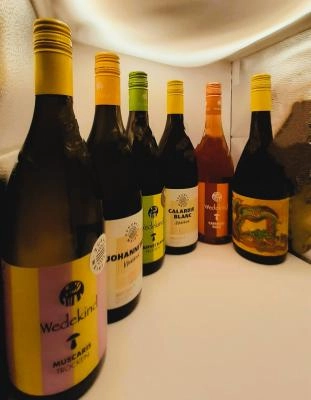 Zum Wein / Sekt: »Zukunftsweine« Probierpaket Weiß & Rosé