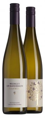 Zum Wein / Sekt: 6x NATURTALENT Cabernet Blanc trocken 