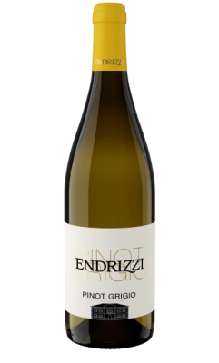 Zum Wein / Sekt: 
    Endrizzi
    Pinot Grigio
          Trentino
        2021
    white
  