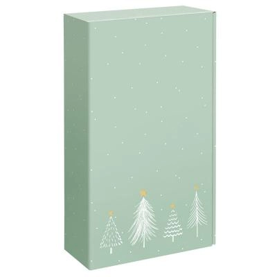 Zum Wein / Sekt: 2er Geschenkkarton - Pastellgrüne Weihnachten