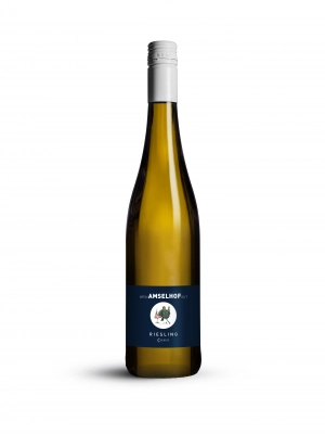 Zum Wein / Sekt: 2022er Pfalz Riesling Qualitätswein Classic 0.75l