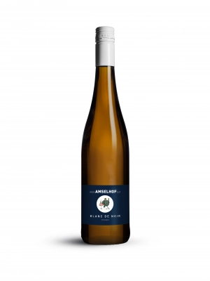 Zum Wein / Sekt: 2022 Pfalz Blanc de Noir Qualitätswein trocken 0.75l