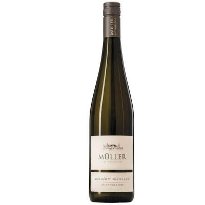 Zum Wein / Sekt: Weingut Müller Göttweiger Berg Gelber Muskateller 2022 Weißwein