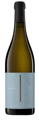 Zum Wein / Sekt: Vigna Madre Nobu 1830 Giannicola Di Carlo Pecorino 2023 Weißwein