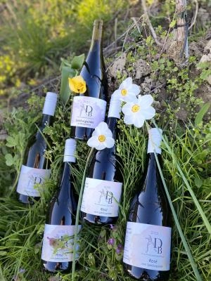 Zum Wein / Sekt: Weinpaket Frühling Nr. 1