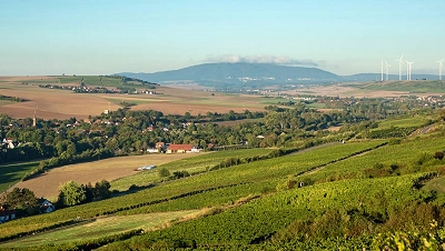 Das Weingut