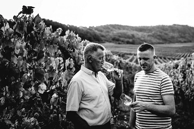 Das Weingut Weingut-Brennerei Peter Greif